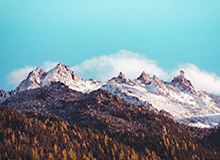 MK体育在线-华体会(hth)·综合体育｜登录入口——开启你的体育竞技新世界