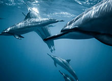 MK体育下载-金正恩回到平壤 朝方公布列车内照片